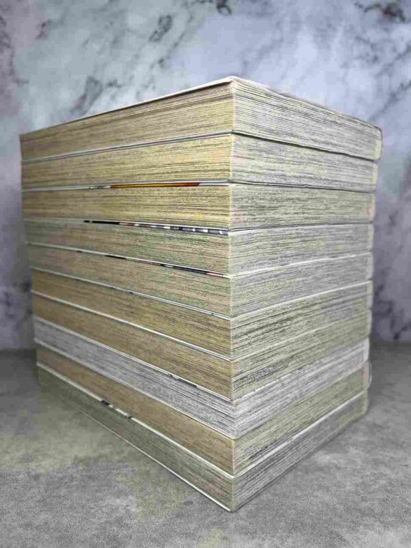 Fairy Tail - 100 Years Quest : Tomes du 1 au 10