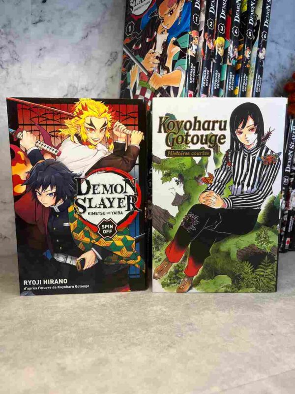 Demon Slayer : Collection Complète - 23 Tomes ( + spin off / histoires courtes + 2 romans )