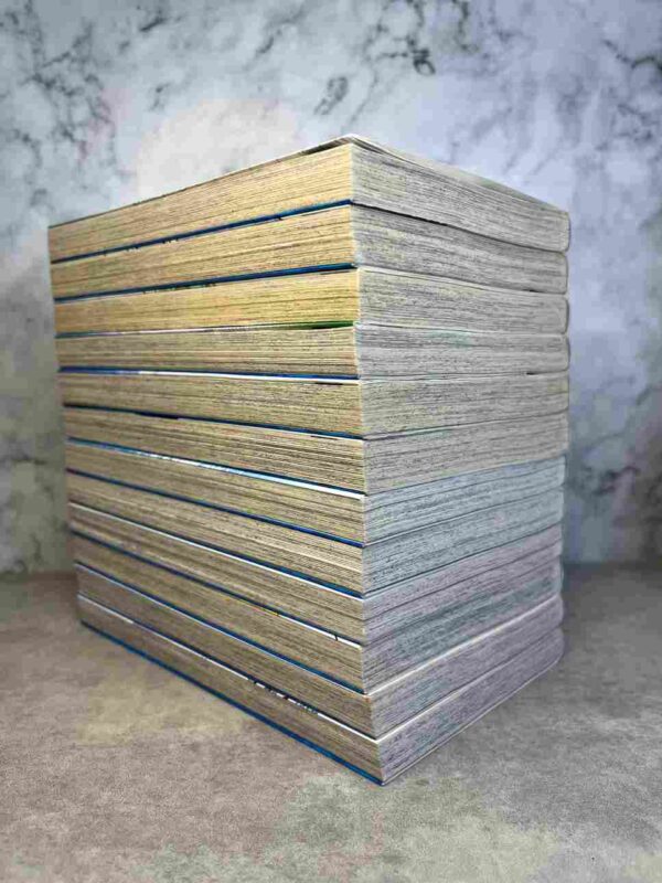 Captain Tsubasa : Tomes du 1 au 12