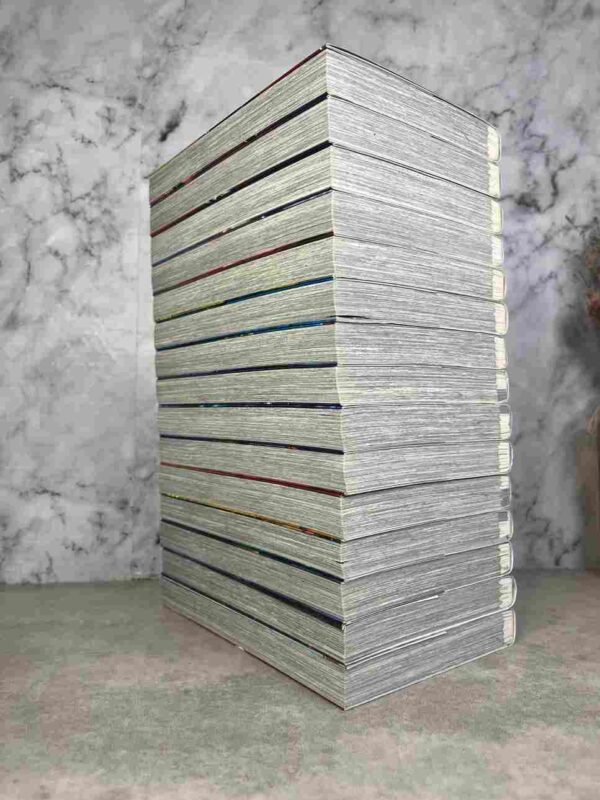 Vigilante - My Hero Academia Illegals : Collection Complète - 15 Tomes