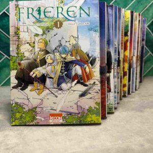 Le jeune héros Himmel et ses compagnons, l'elfe Frieren, le nain Eisen et le prêtre Heiter, rentrent victorieux de leur combat contre le roi des
