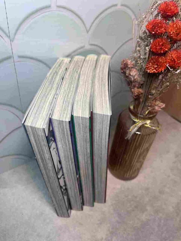 Le Fossoyeur :  Collection Complète - 4 Tomes