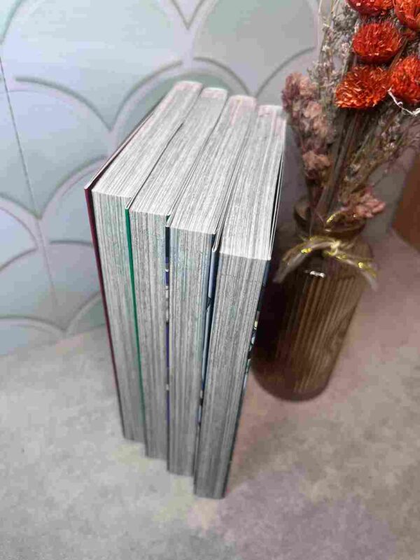 Le Fossoyeur :  Collection Complète - 4 Tomes