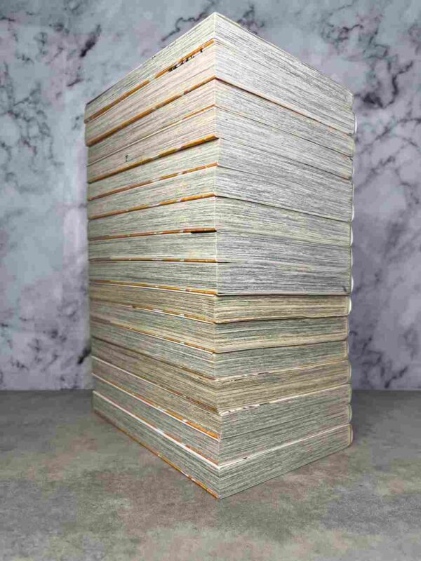 Special A :  Tomes 1 a 16 ( Presque Intégrale )