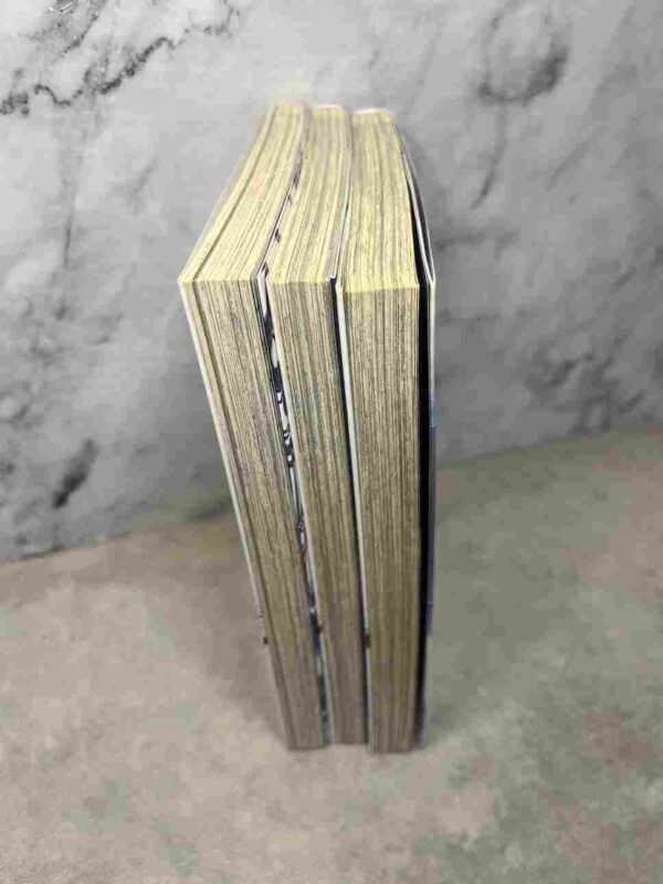 Strike The Blood   - tomes 1 et 3