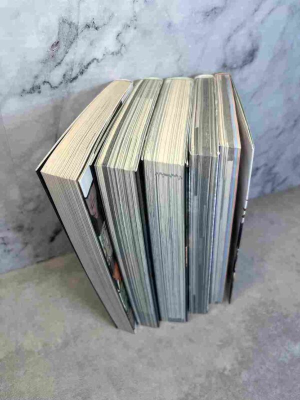 Bleach :  5 Tomes hors series ( unmasked / 13 blades etc.. )