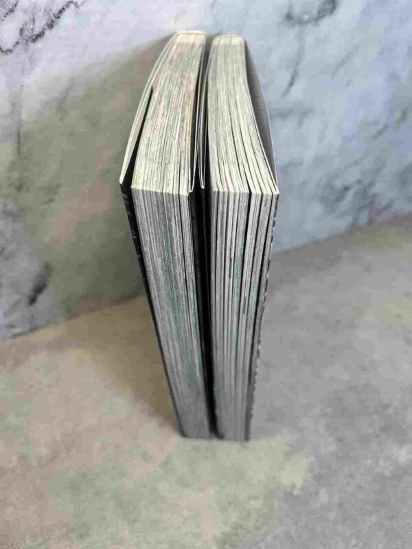 Shigahime  - tomes 1 et 2