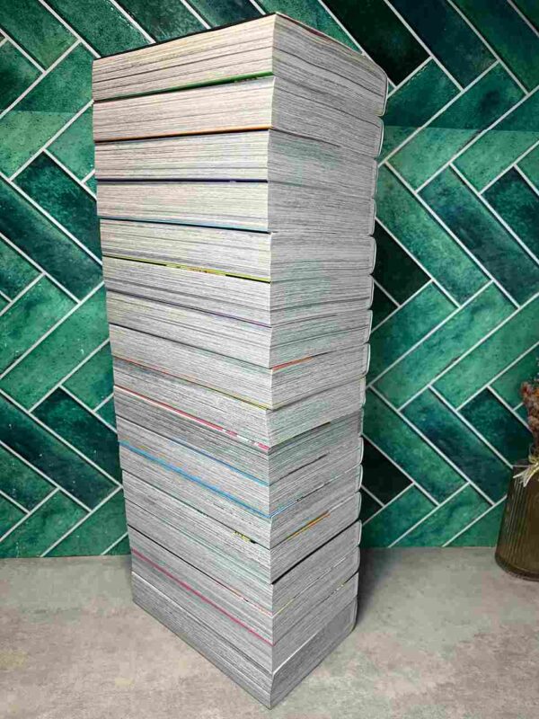 Shaman King - Star Edition : Collection Complète 17 Tomes