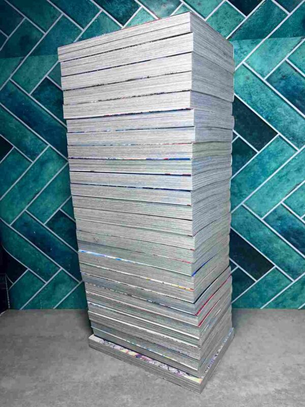 Saint Seiya - The Lost Canvas - La Legende D'Hades  : Collection Complète  25 Tomes