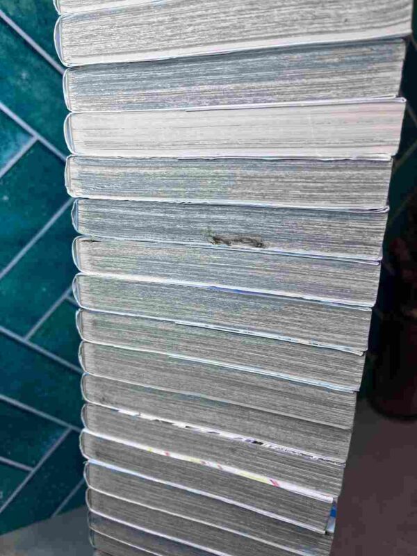 Saint Seiya - The Lost Canvas - La Legende D'Hades  : Collection Complète  25 Tomes