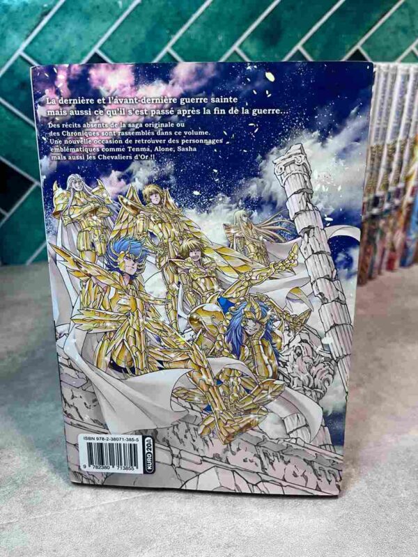 Saint Seiya - The Lost Canvas - La Legende D'Hades  : Collection Complète  25 Tomes