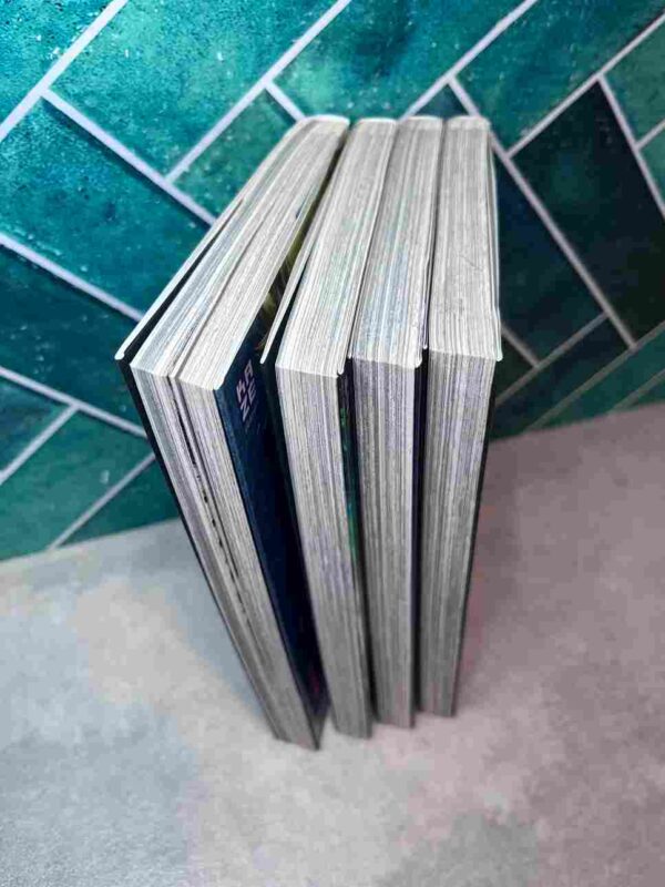 Beyond Evil  : Collection complète 4 Tomes