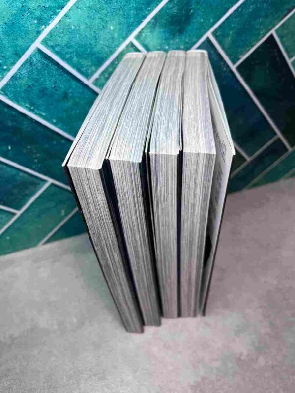 Beyond Evil  : Collection complète 4 Tomes