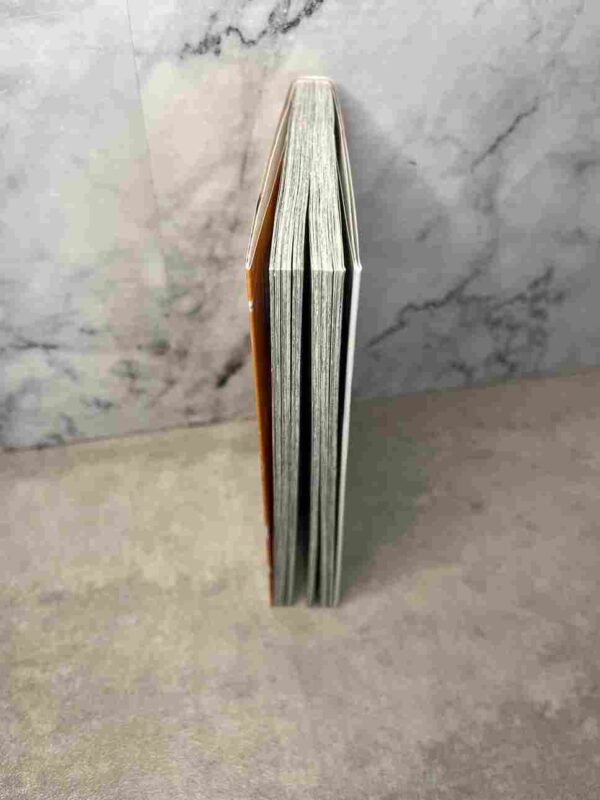 Special A : Tome 17 ( Rare )