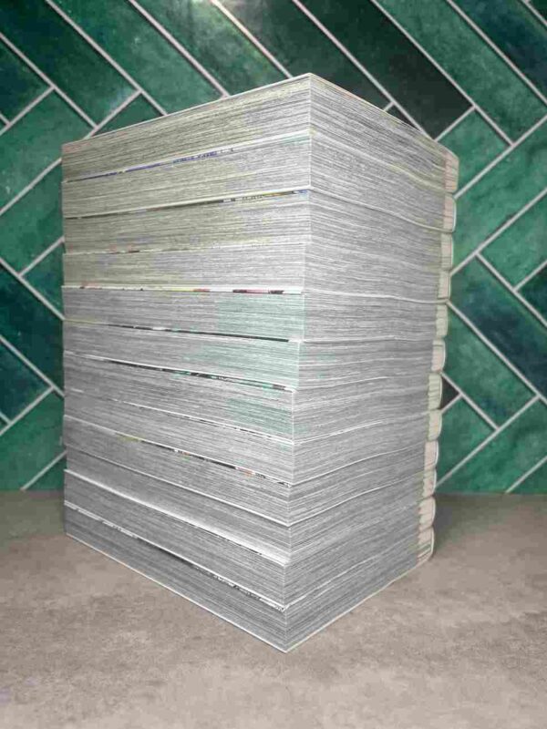 Final Fantasy - Lost Stranger : Collection Complète - 12 Tomes