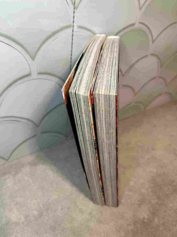 Zingnize  : Tomes 1 et 2