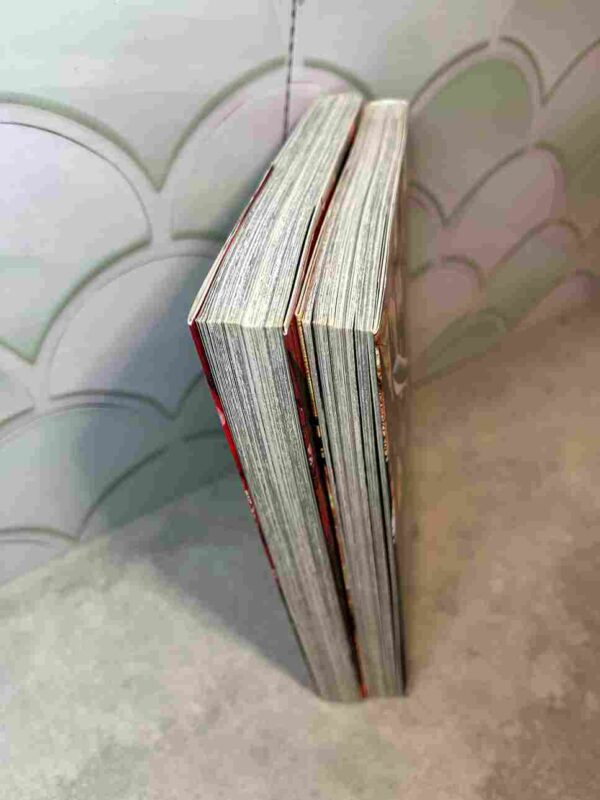 Zingnize  : Tomes 1 et 2