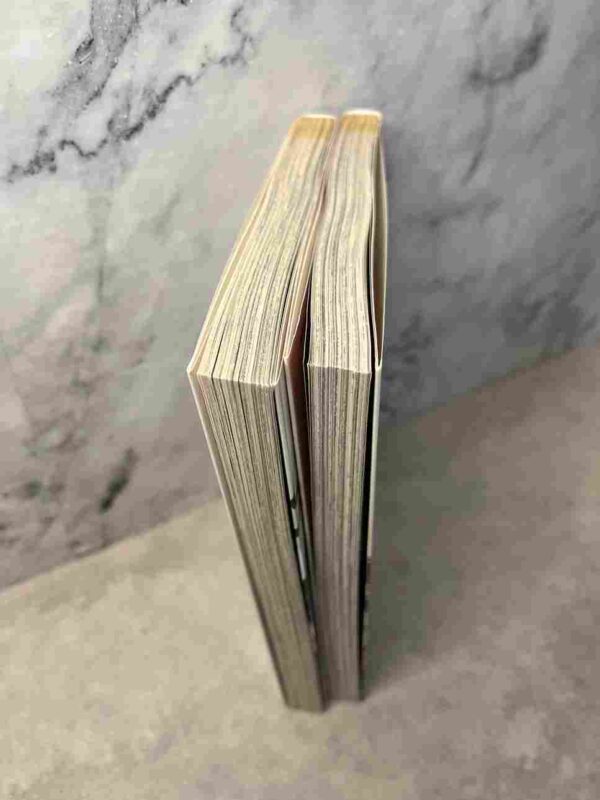 Lost Seven : Tomes 1 et 2