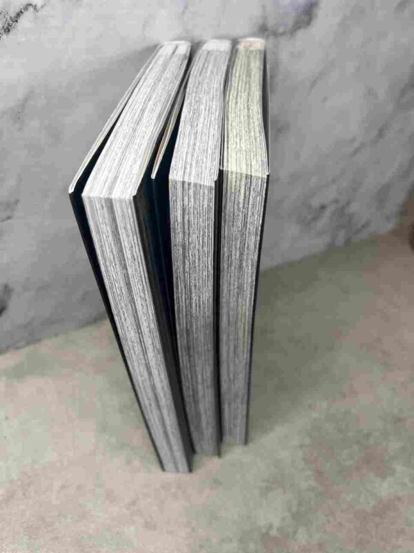 City Hall : Collection Complète / Saison 1 : 3 tomes