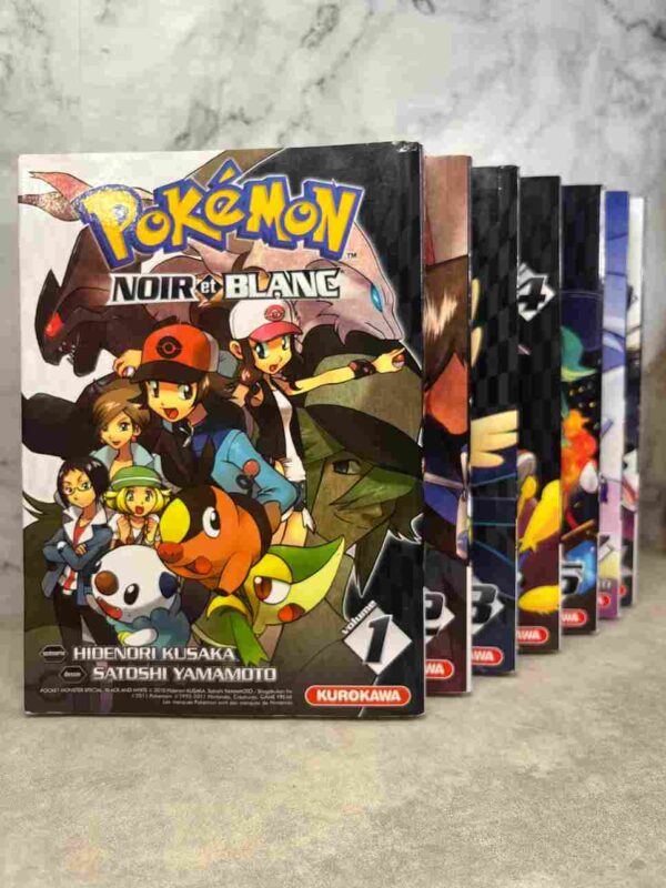 Noir est un garçon un peu étrange qui ne rêve que d'une chose : battre la Ligue Pokémon et devenir le nouveau champion des Dresseurs. Avec ses Pokemon