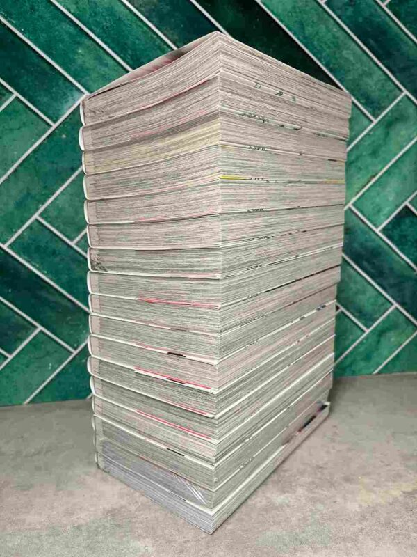 Demon Slave : Collection Complète - 17 Tomes