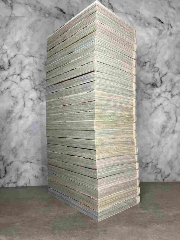 One Punch Man : Tomes du 1 a 22