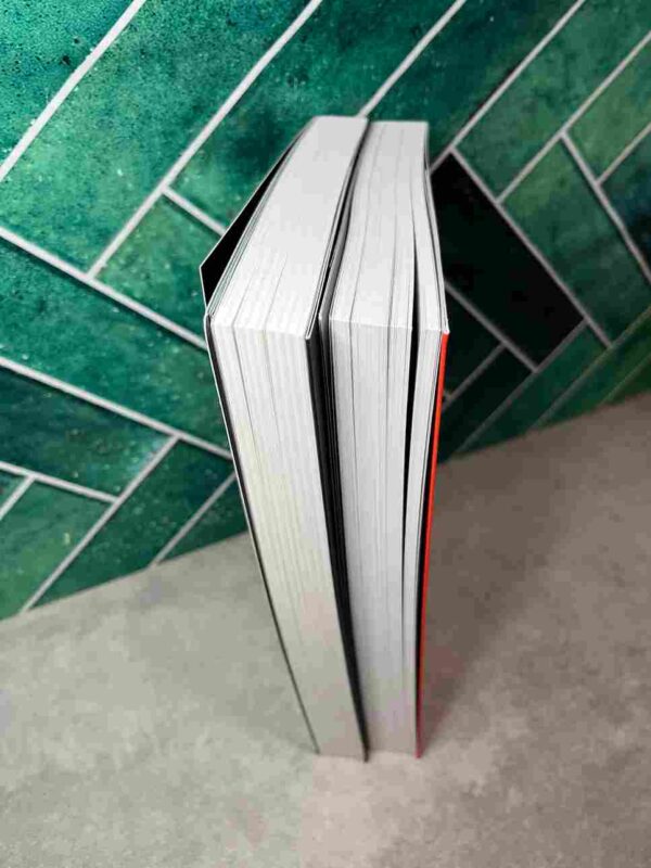 Hellbound - Serie Netflix :  Collection Complète  : 2 Tomes