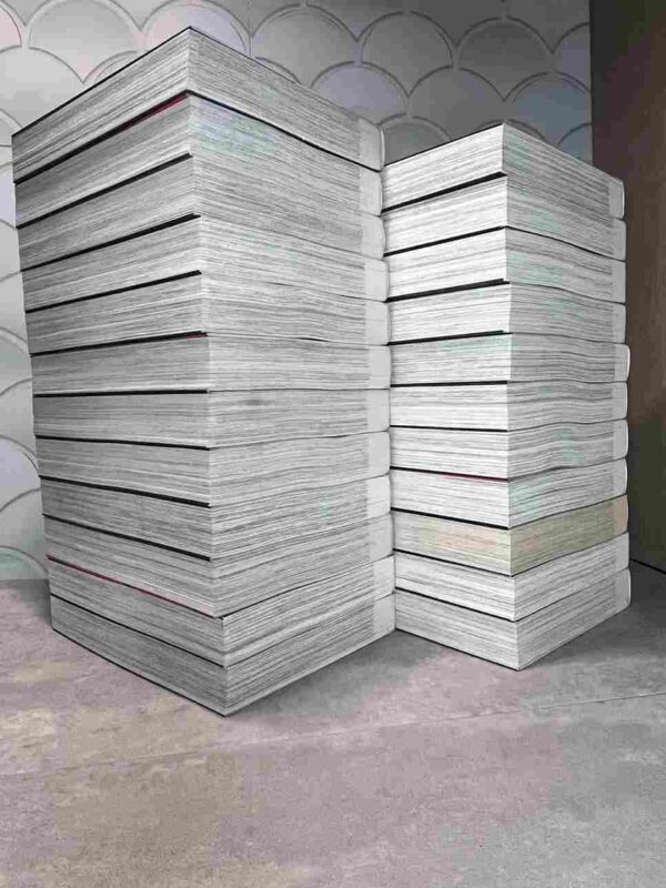 Rokudenashi Blues : Collection Complète - 23 Tomes ( Perfect édition : Racaille blues )