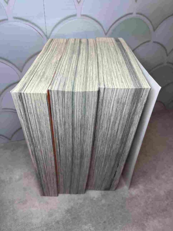 Run Day Burst :  Collection Complète - 3 Gros  Tomes