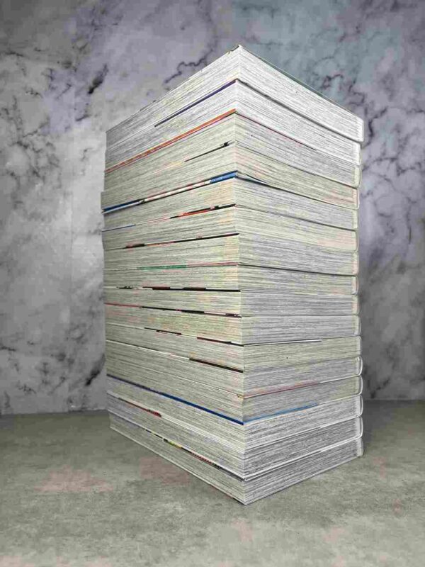 Wolf Girl and Black Prince : Collection Complète - 16 Tomes