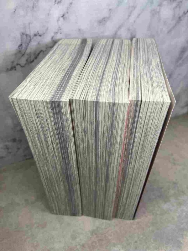 Run Day Burst :  Collection Complète - 3 Gros  Tomes