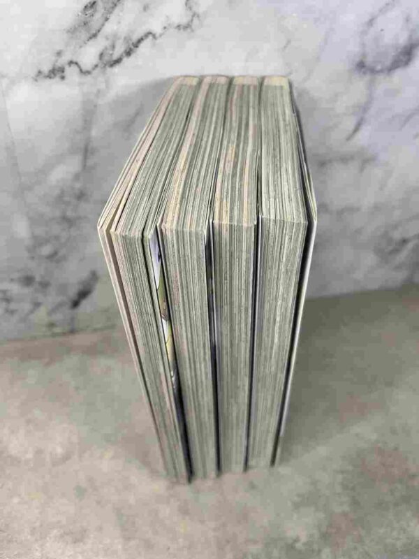 Slice of Horror - Mieruko Chan : Tomes du 1 au 4