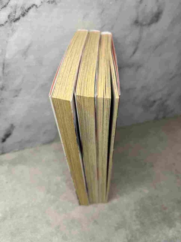 Au Dela De L'apparence  : Tomes du 1 au 3