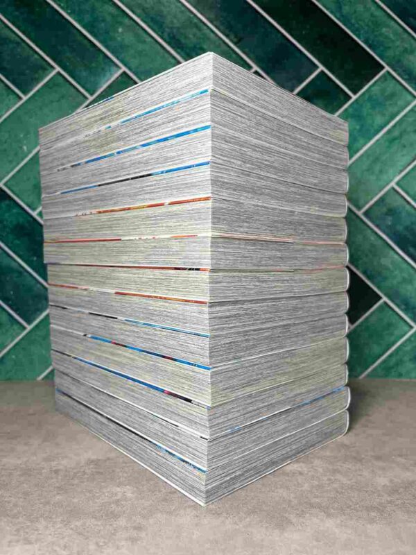 Outlaw Players : Collection Complète - 13 Tomes