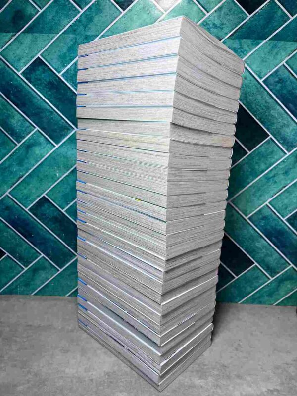 Super Mario - Manga adventures  : Tomes du 1 au 29