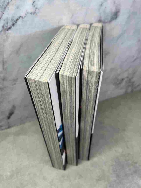 Wolf Wont Sleep  - Collection Complète : 3 Tomes