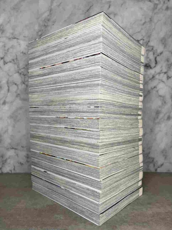 Valkyrie Apocalypse :  Tomes du 5 au 21