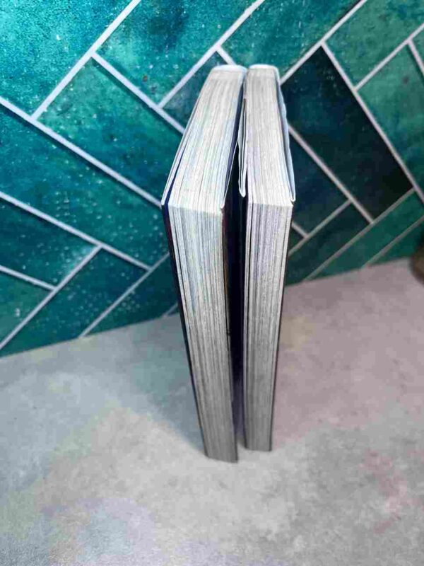 Saint Seiya - Dark Wing  : Tomes du 1 a  2