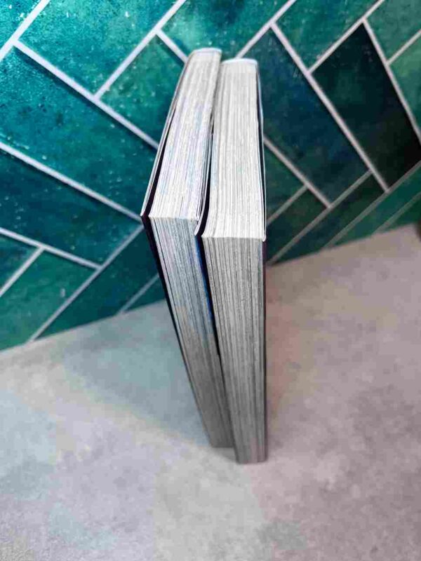 Saint Seiya - Dark Wing  : Tomes du 1 a  2