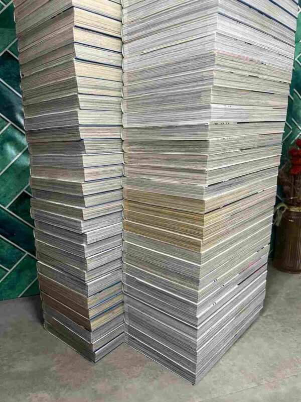 Bleach : Collection Complète - 74 tomes