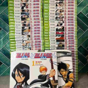 Adolescent de quinze ans, Ichigo Kurosaki possède un don particulier : celui de voir les esprits. Un jour, il croise la route d'une belle Shinigami