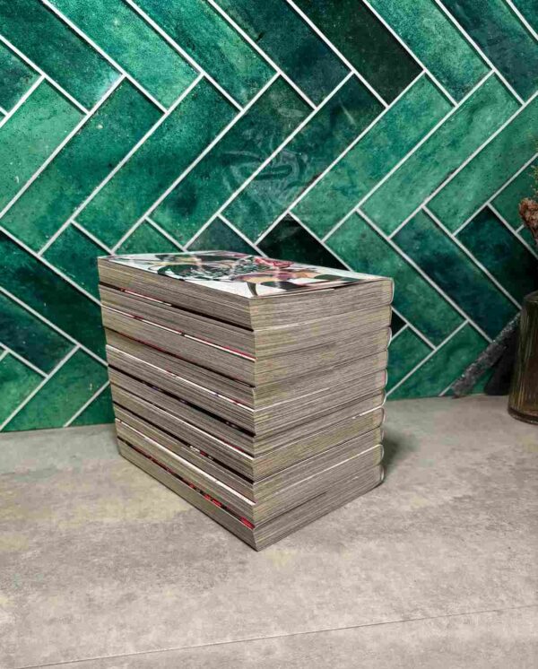 Red Eyes Sword  Zero  : Collection Complète  - 10 Tomes