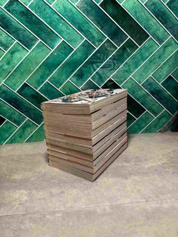 Red Eyes Sword  Zero  : Collection Complète  - 10 Tomes