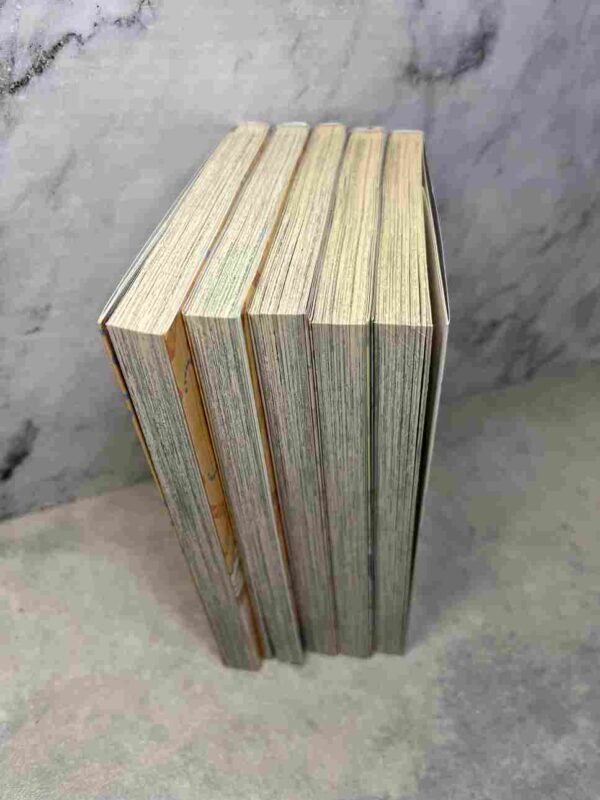 Secret Girl  : Collection Complète - 5 Tomes