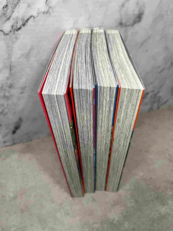 Villageois Lvl 999 :  Tomes du 1 a 4