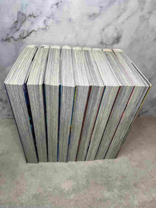 Vigilante - My Hero Academia Illegals : Tomes du 1 au 9