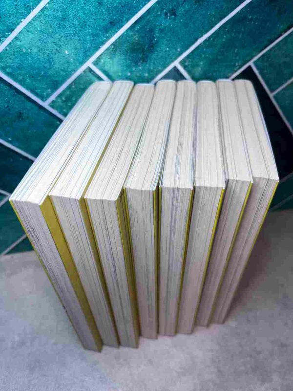 Fairy Tail / La Grande Aventure De Happy - Collection complète : 8 Tomes