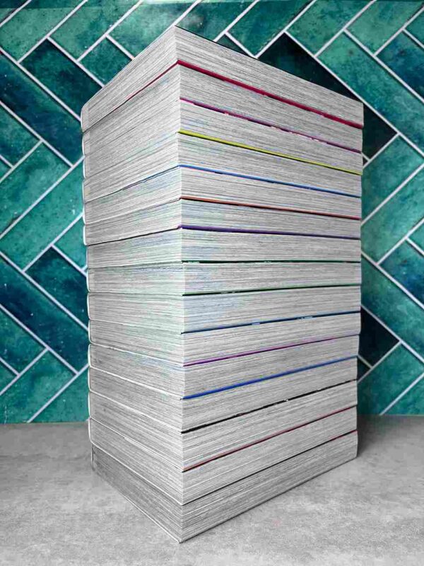 Red Eyes Sword  : Collection Complète - 15 Tomes