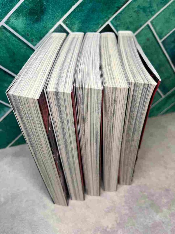 Samurai Comeback : Collection Complète - 5 Tomes