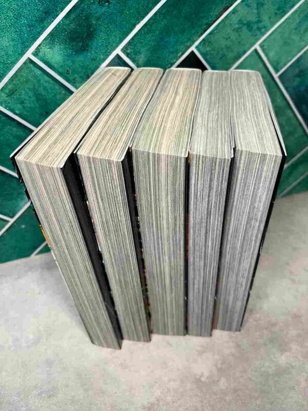 Stray Dog  :  Tomes du 1 au 5